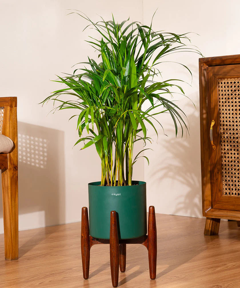 Product image 114