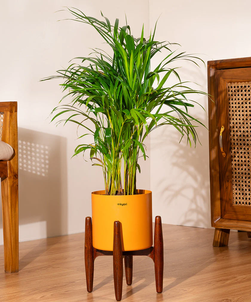 Product image 164