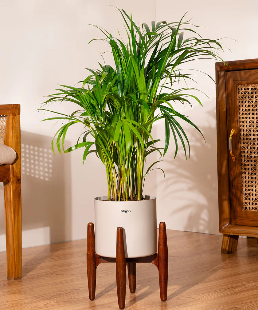 Product image 175