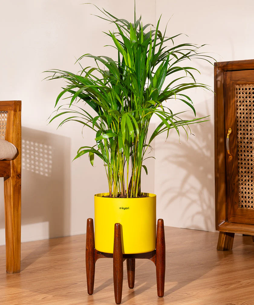 Product image 199