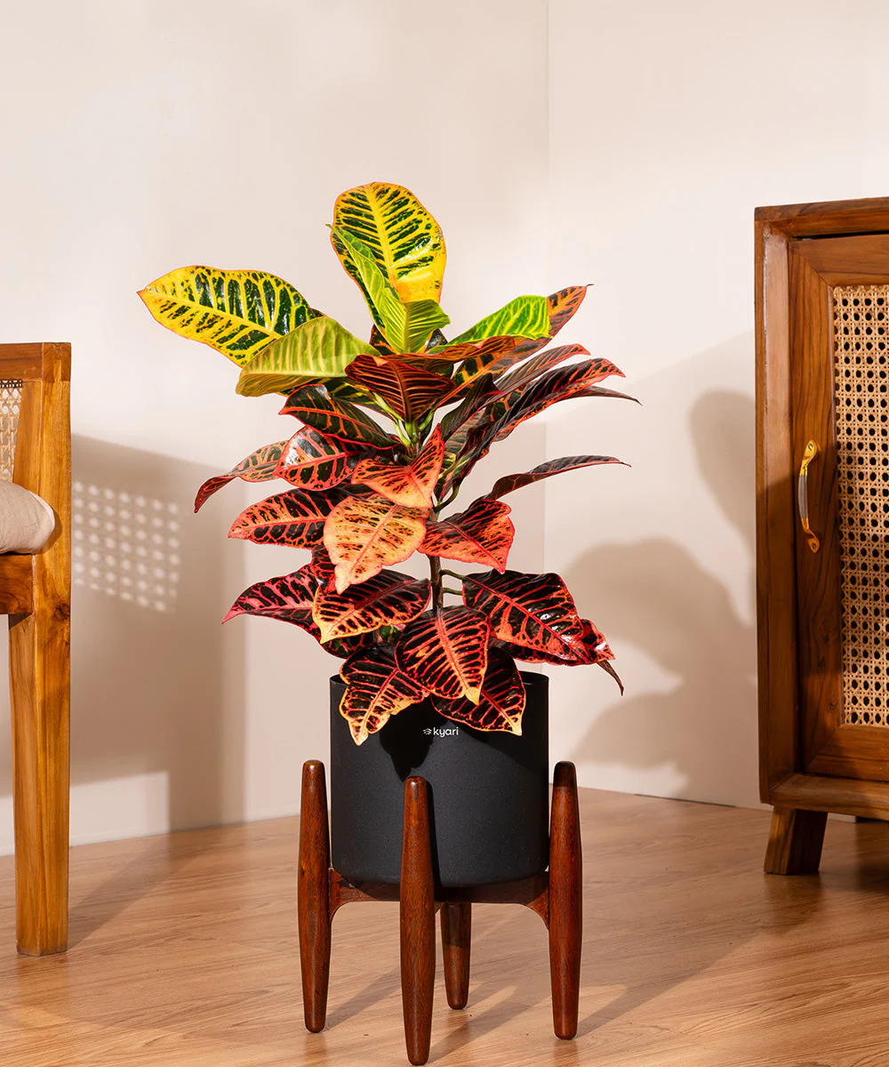 Product image 167
