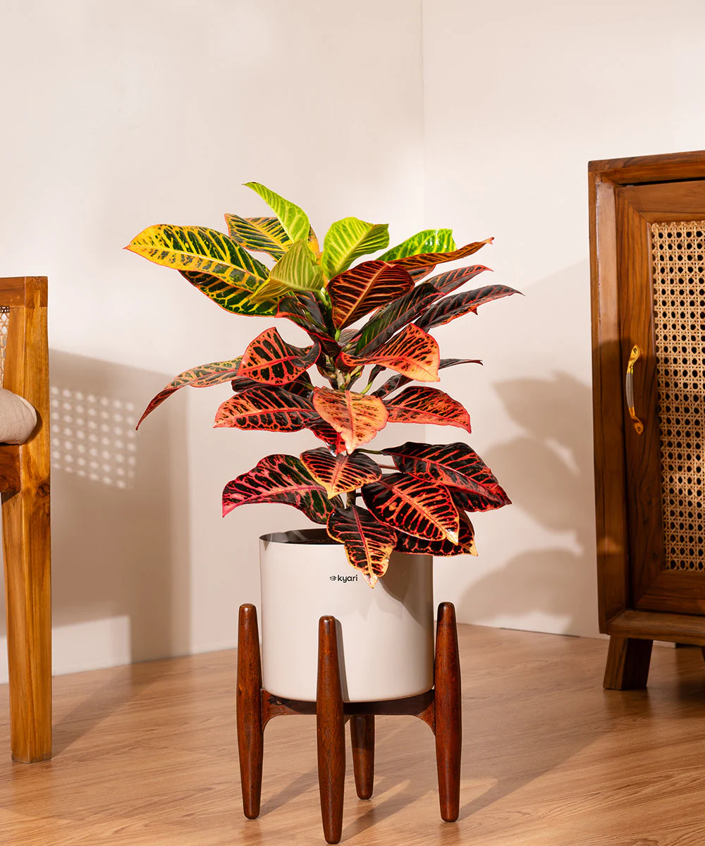 Product image 182