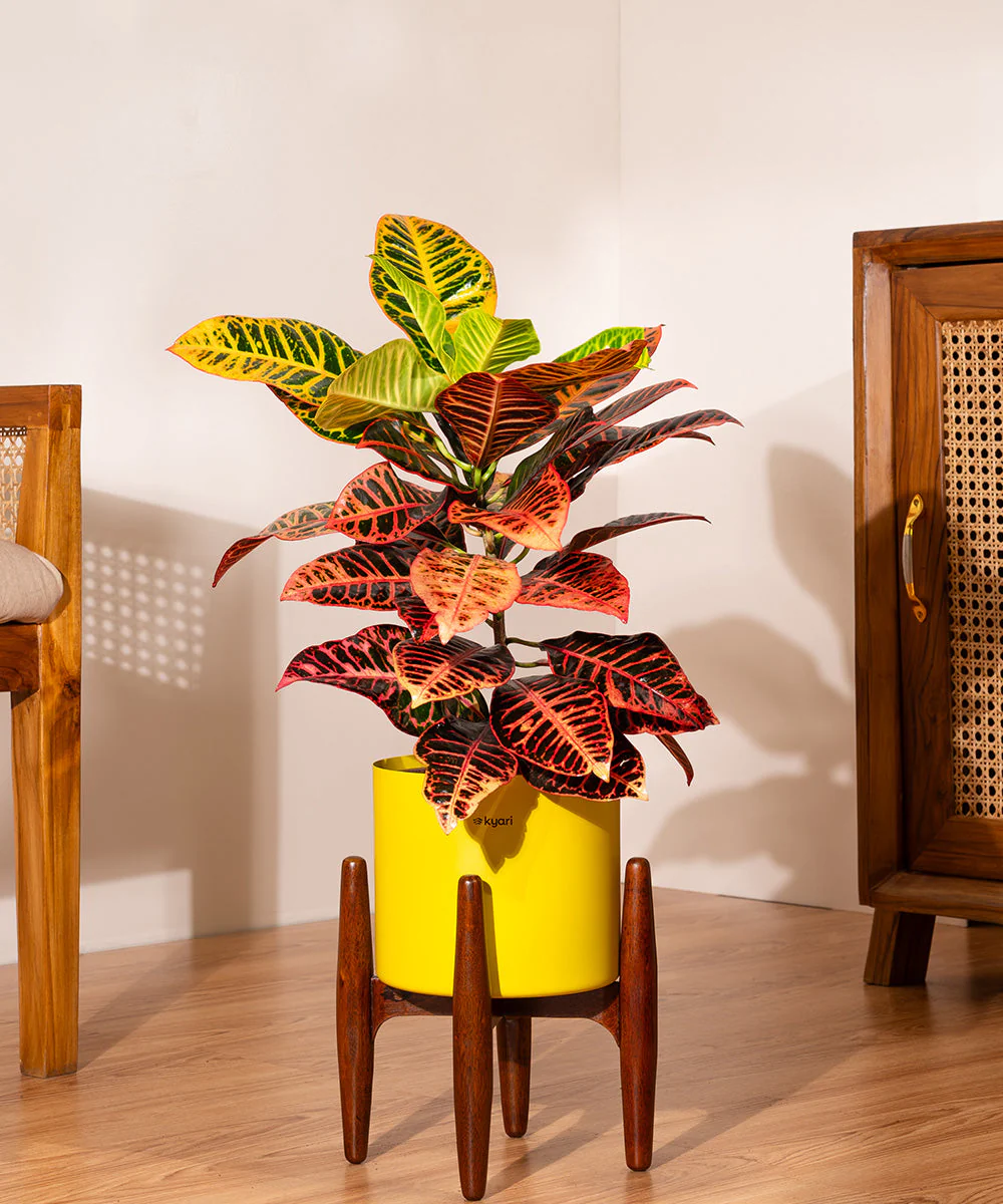 Product image 185