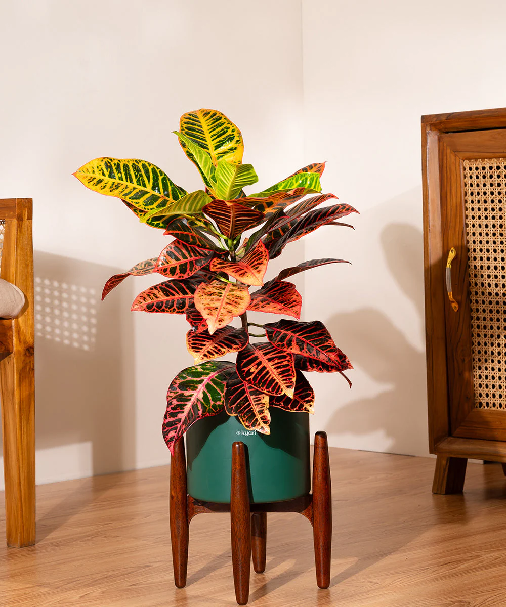 Product image 204