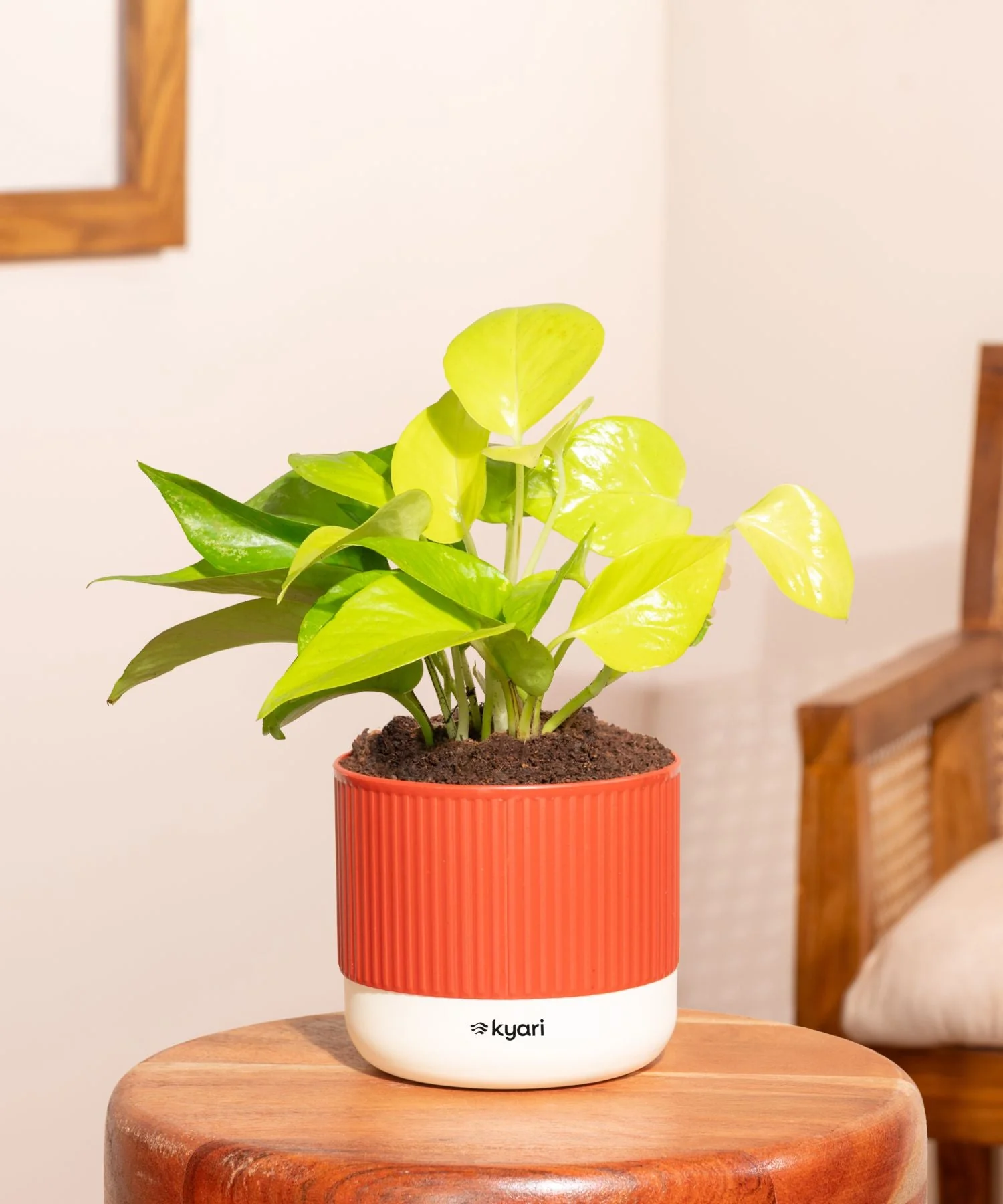 Product image 179
