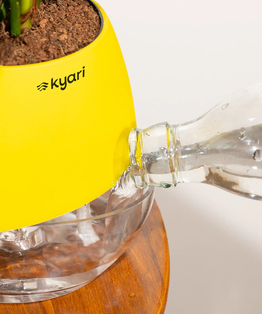 Product image 106
