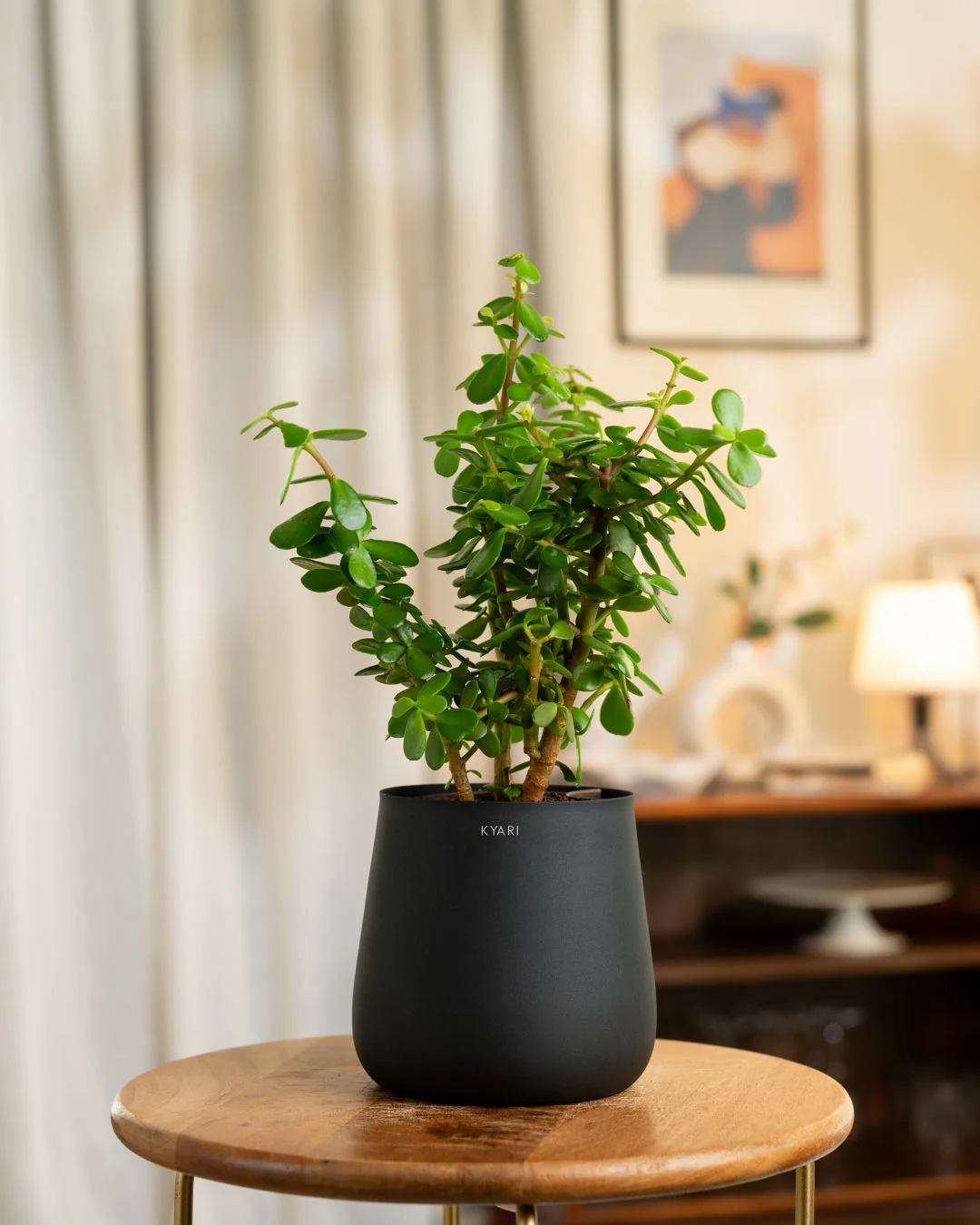 Product image 149