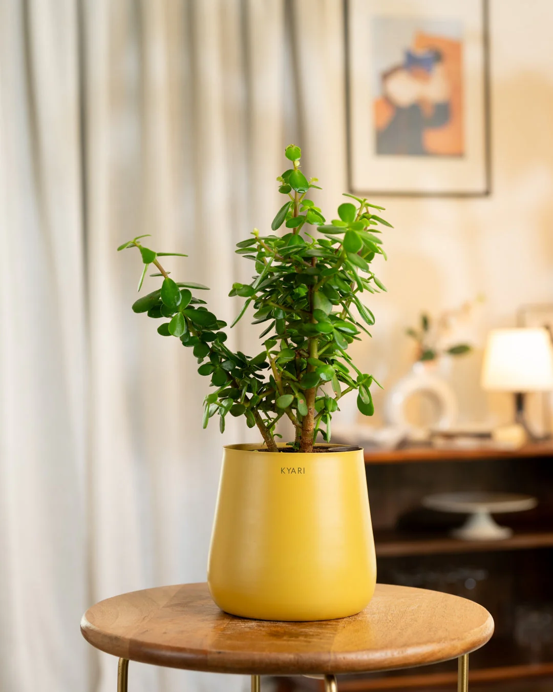 Product image 221