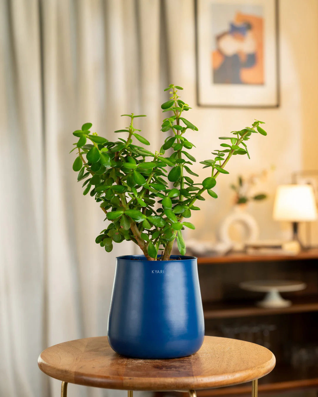 Product image 228