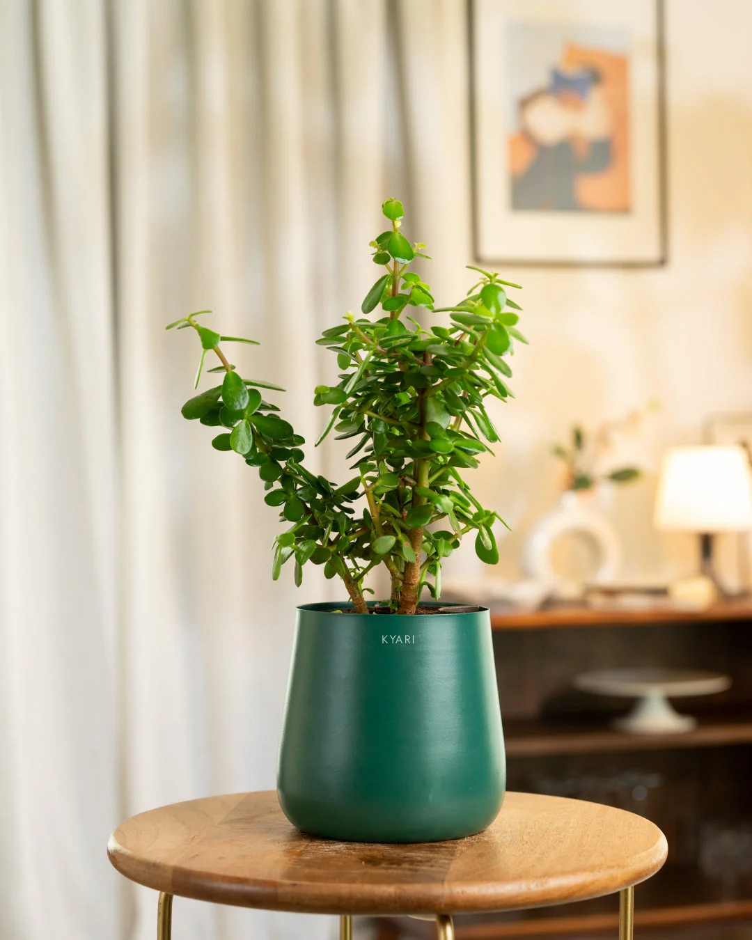Product image 240