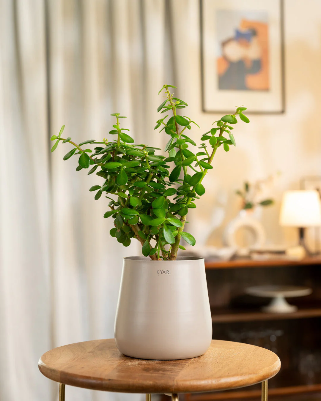 Product image 249