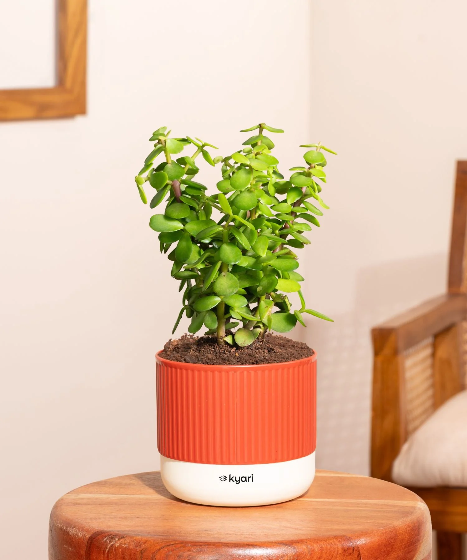 Product image 69