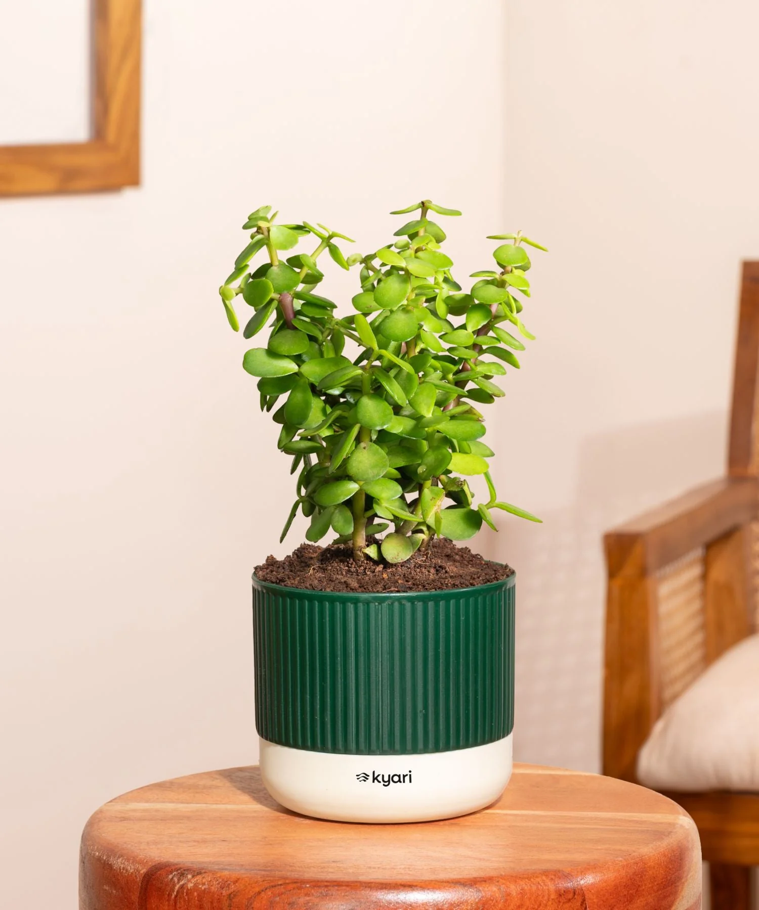 Product image 235