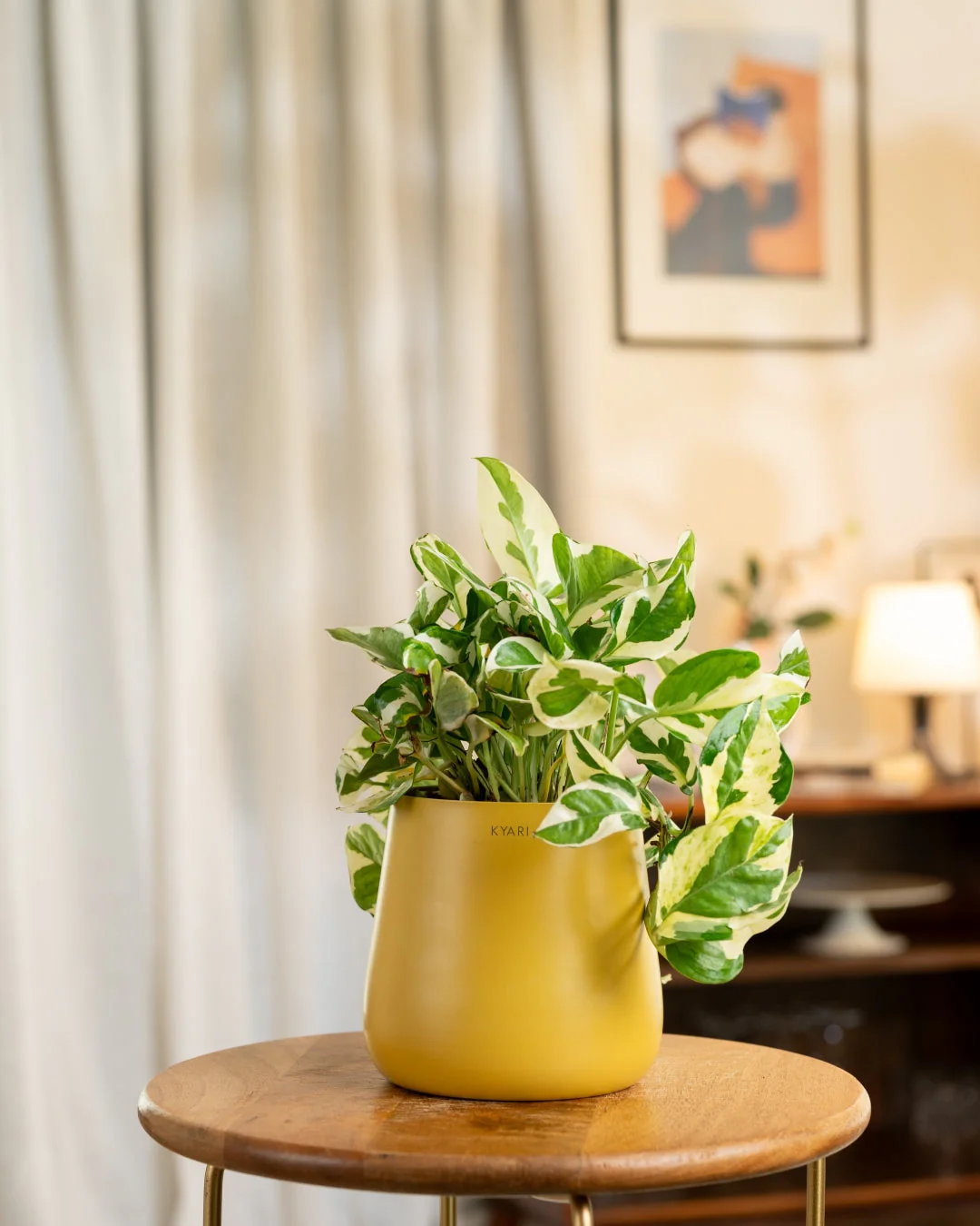 Product image 181
