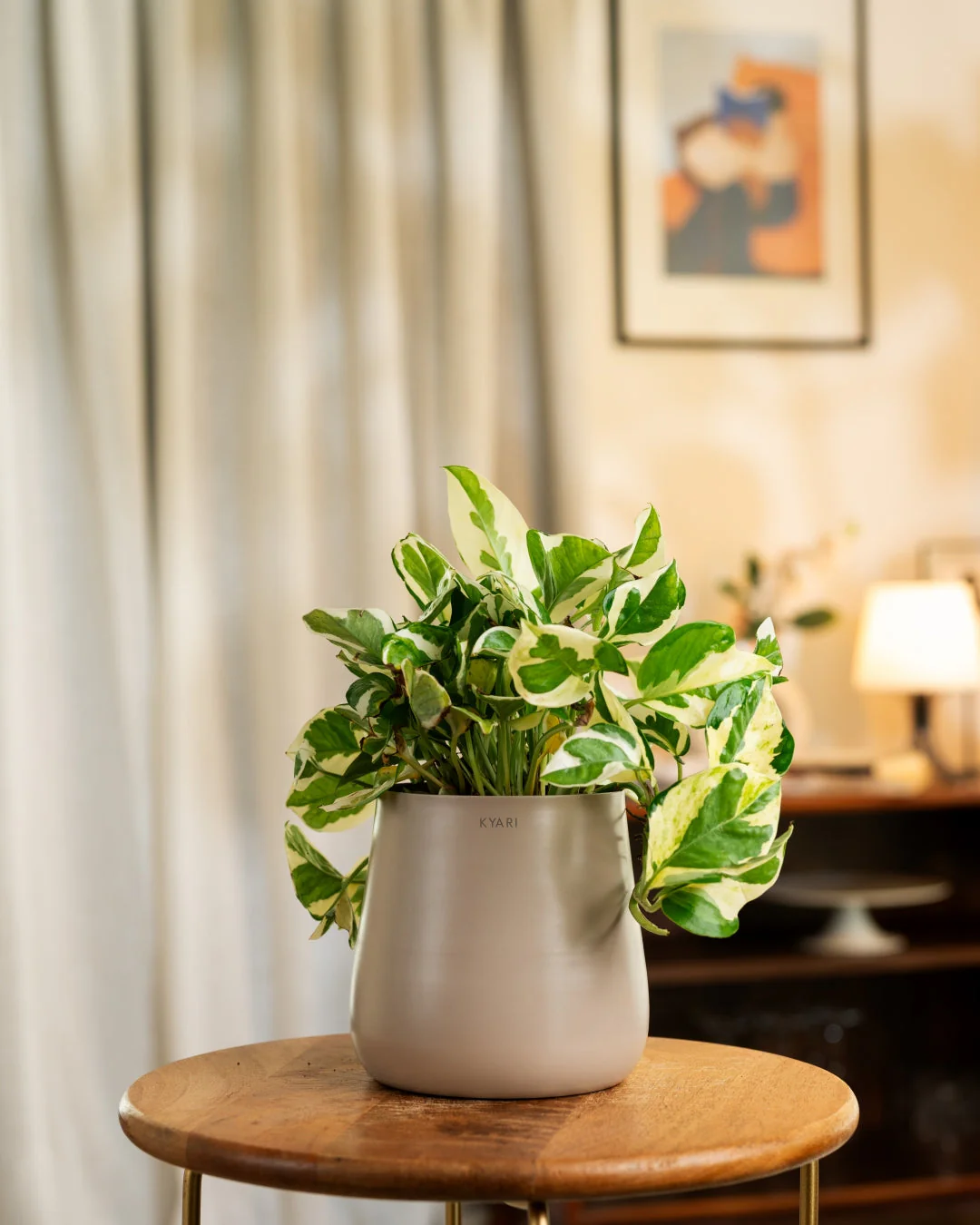 Product image 193