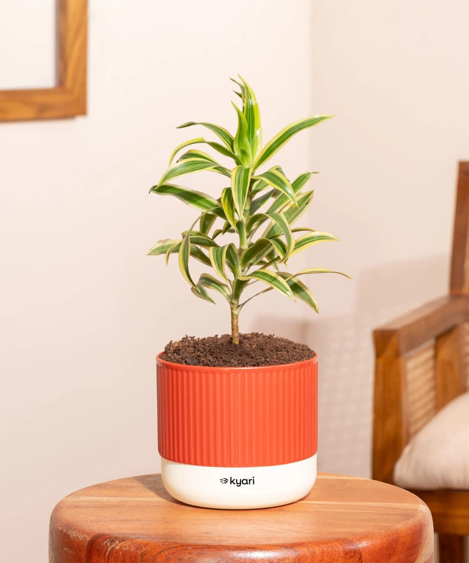 Product image 55